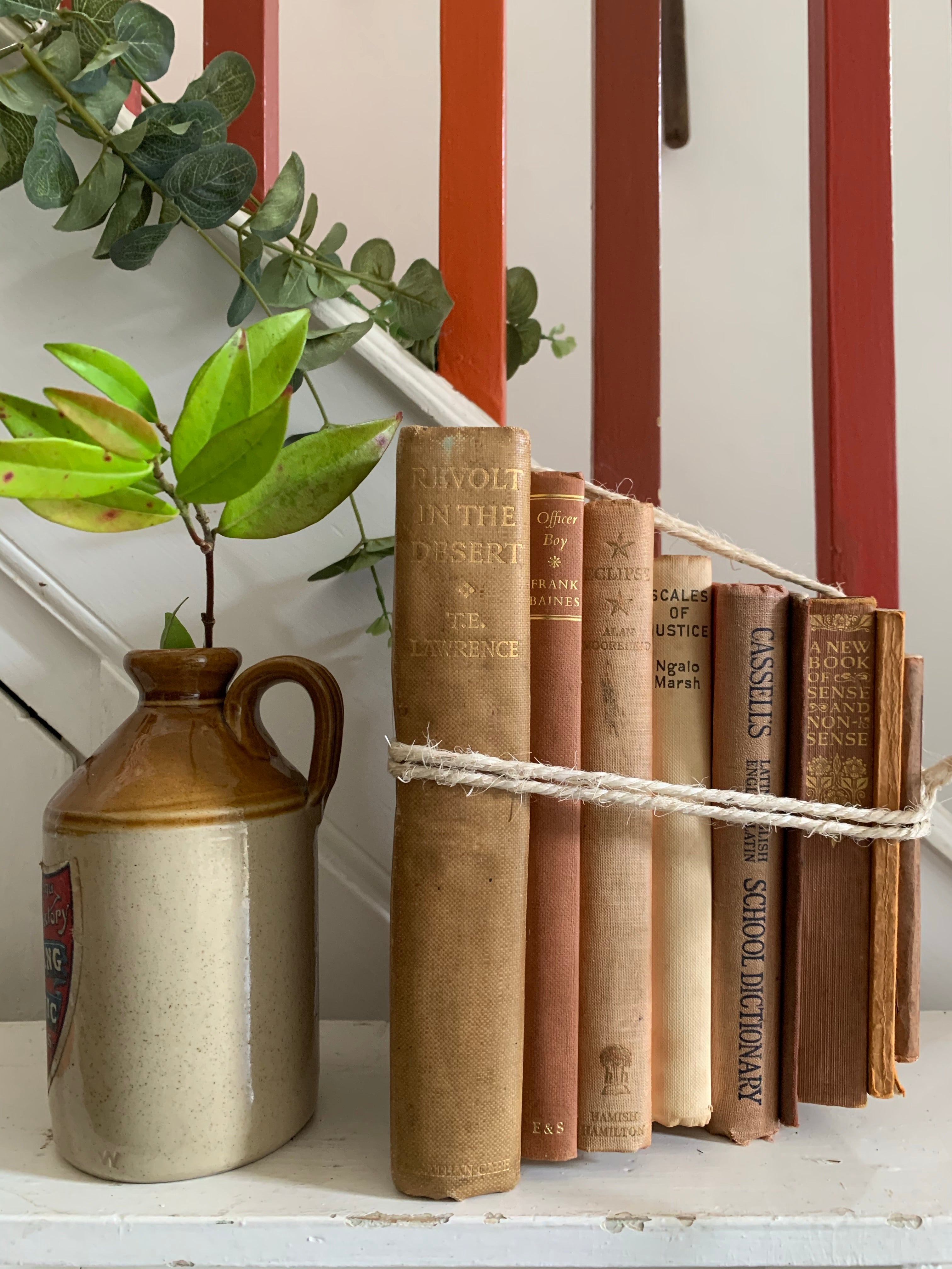 Beige & Orange Book Bundle