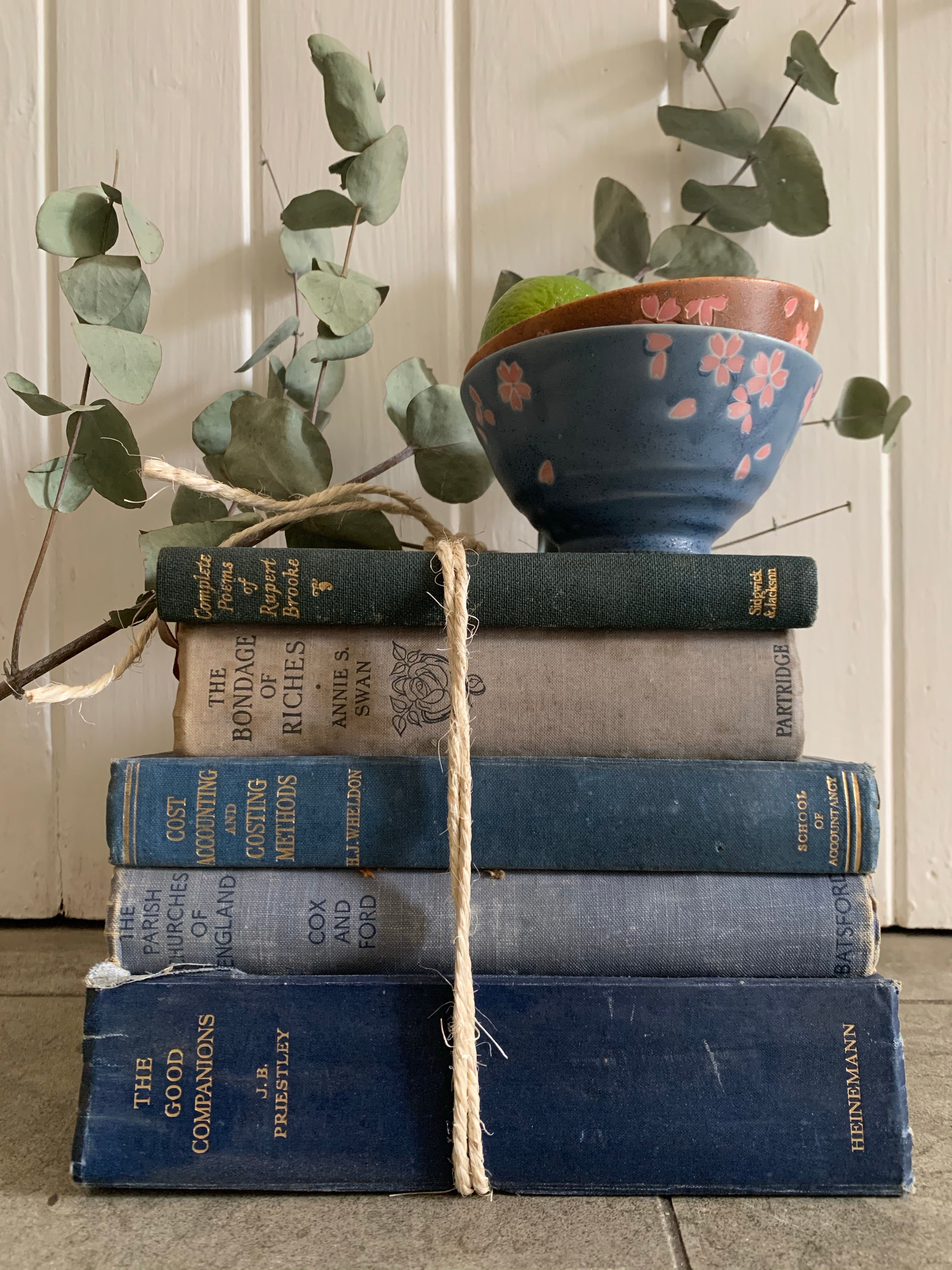 Blue Book Bundle