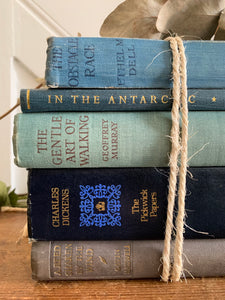 Blue Book Bundle 1